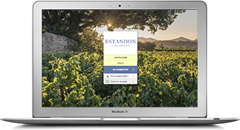Intégration de l'extranet vin.co sur un site web corporate