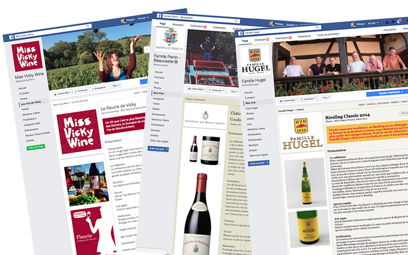 Personnalisation de l'application Social Post vin.co